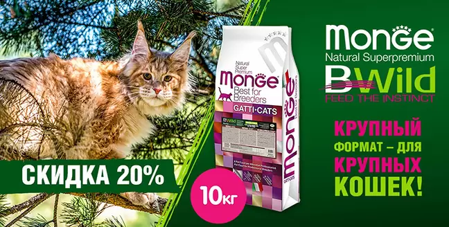 Скидка 20% на корм Monge BWild Grain Free!