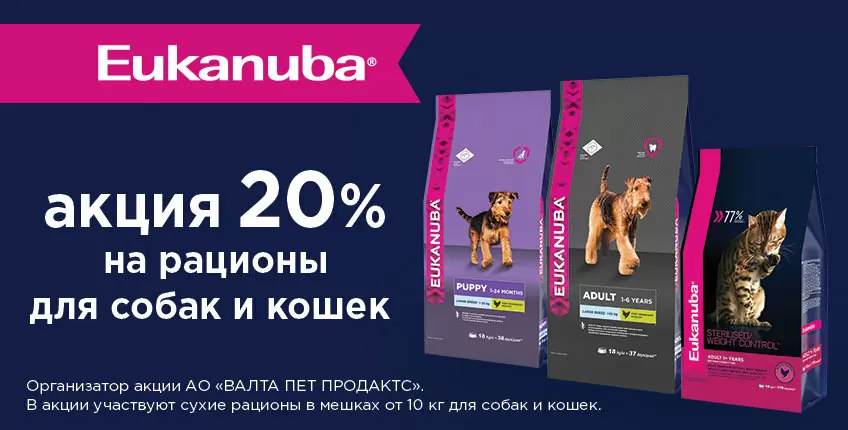 20% на сухой корм Eukanuba для собак и кошек!