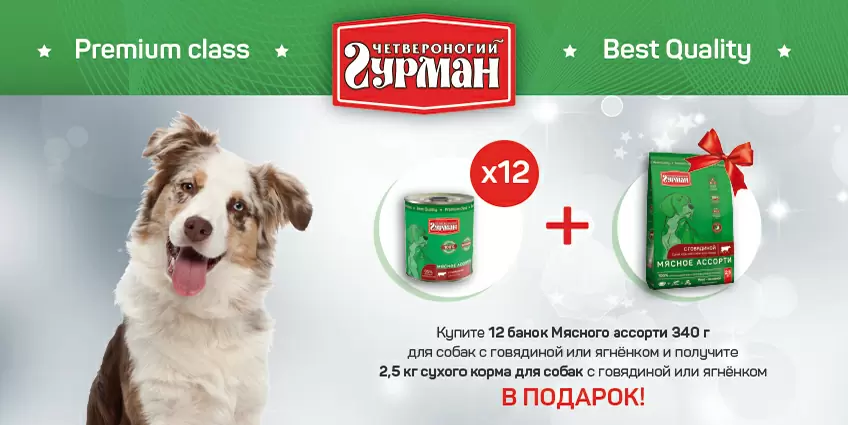 2,5кг сухого корма Четвероногий Гурман в подарок