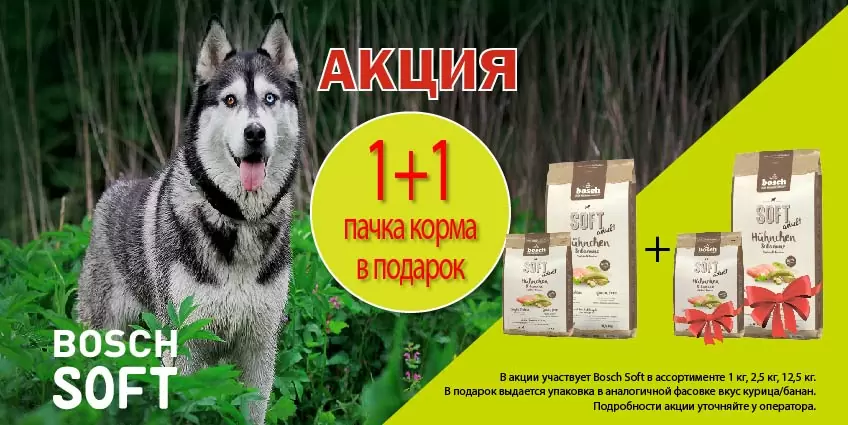 Упаковка Bosch Soft в подарок!