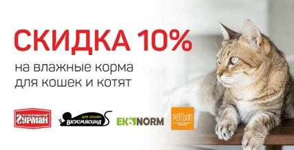 Скидка 10% на корма брендов Petibon, Четвероногий Гурман, Ekonorm, Вкусмясина и Zoodiet!