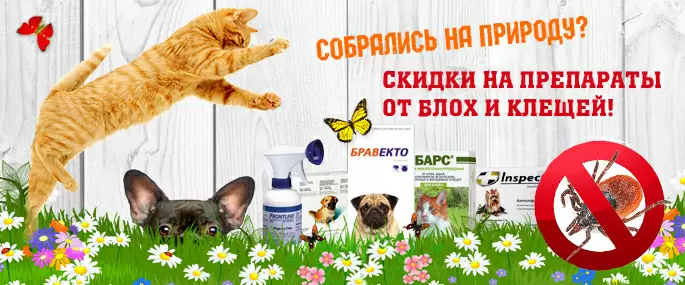 !Акция окончена! Скидки на препараты от блох и клещей