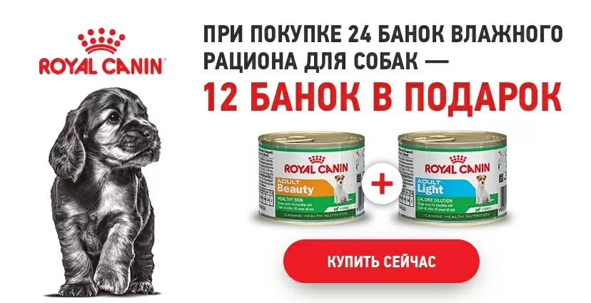 12 банок Royal Canin в подарок