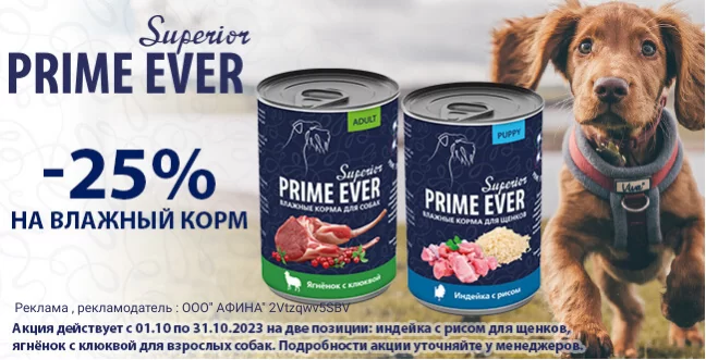 Скидка 25% на выделенный ассортимент влажных кормов Prime Ever Superior !