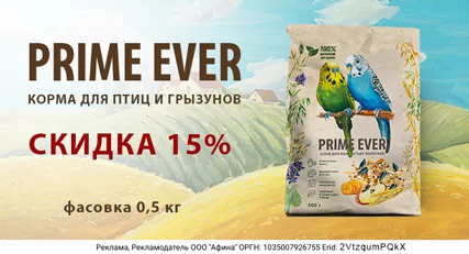 Скидка 15% на корм Prime Ever для попугаев