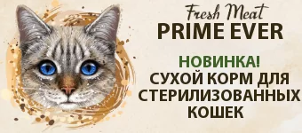 Дизайн без названия - 2023-07-26T160121.796 (1).png