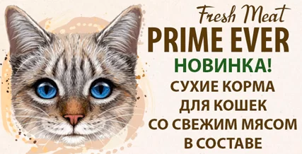 427_fm (1).png