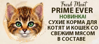Дизайн без названия - 2023-07-26T154426.382.png