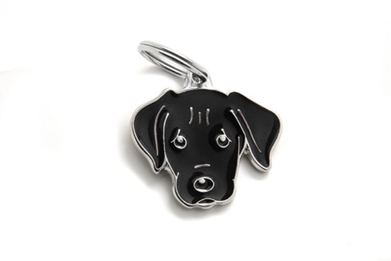 Адресник My Family colors Лабрадор чёрный цветной средний 650₽