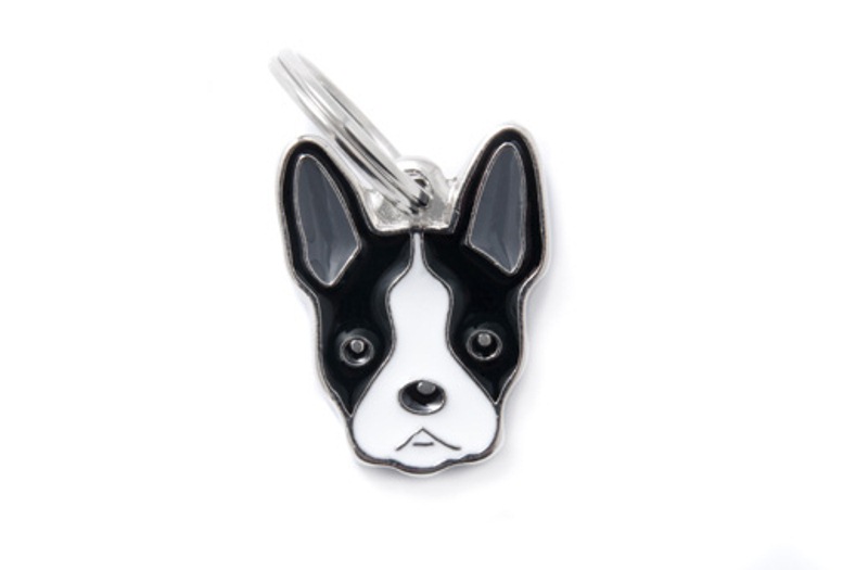 Адресник My Family colors Бостон-терьер цветной средний 122₽