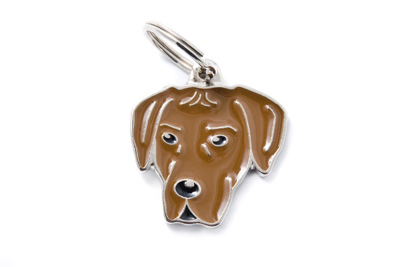 Адресник My Family colors Родезийский риджбек цветной средний 731₽