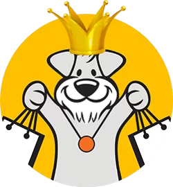 dog.png dog.png